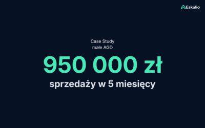 Jak uporządkowanie konta i Allegro Ads przełożyło się na 950 000 zł sprzedaży